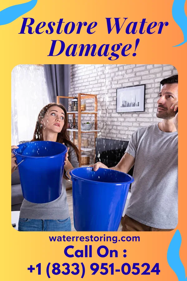 water restoration Capital Disaster Cleanup Co Yorklyn