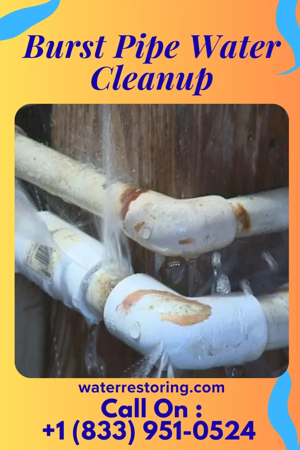 Burst Pipe Water Cleanup in Yorklyn, PA