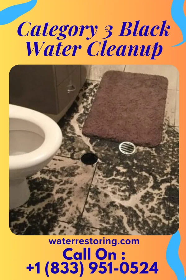 Category 3 Black Water Cleanup in Yorklyn, PA