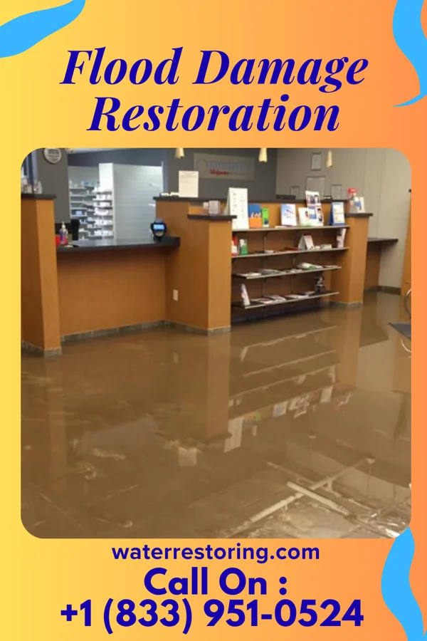 Flood Damage Restoration in Yorklyn, PA