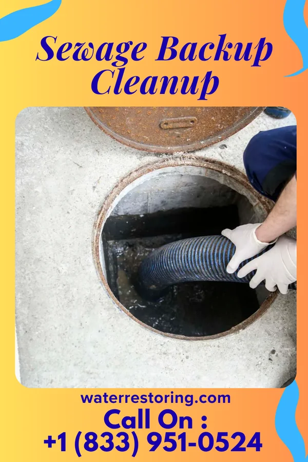Sewage Backup Cleanup in Yorklyn, PA