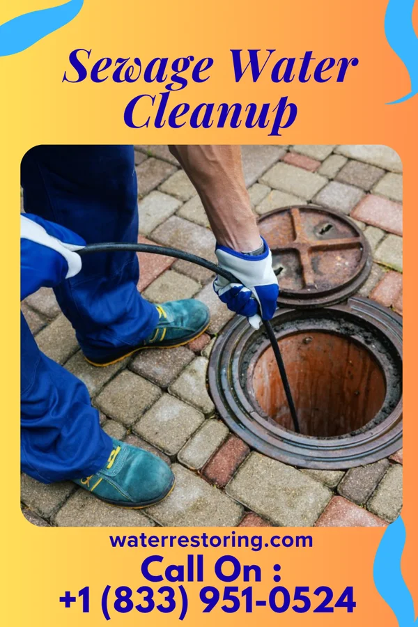 Sewage Water Cleanup in Yorklyn, PA
