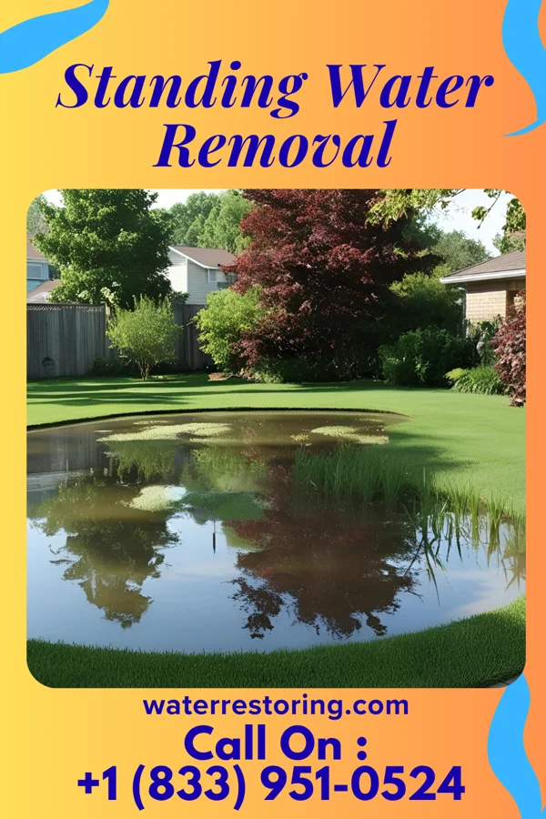 Standing Water Removal in Yorklyn, PA